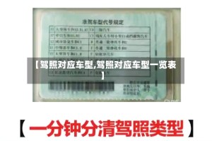 【驾照对应车型,驾照对应车型一览表】
