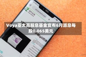 Voya亚太高股息基金宣布6月派息每股0.065美元