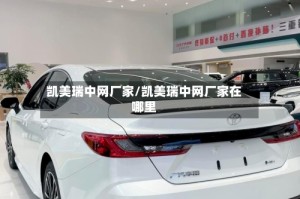 凯美瑞中网厂家/凯美瑞中网厂家在哪里