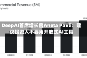 DeepAI首席增长官Aneta Pavli：建议投资人不要用开放式AI工具