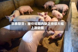 华泰期货：猪价短期内缺乏持续大幅上涨动能