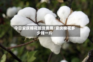 今日安庆棉花现货费用/安庆棉花多少钱一斤