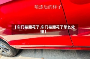【车门被蹭花了,车门被蹭花了怎么处理】