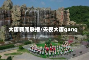 大唐新闻联播/央视大唐gang