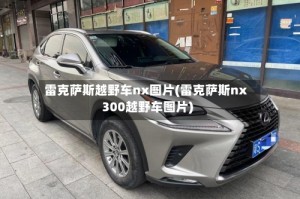 雷克萨斯越野车nx图片(雷克萨斯nx300越野车图片)