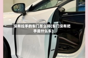 没有拉手的车门怎么开(车门没有把手是什么车)