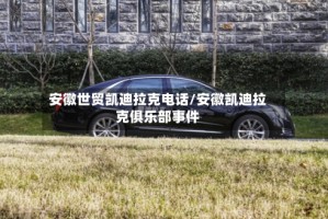 安徽世贸凯迪拉克电话/安徽凯迪拉克俱乐部事件