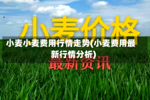 小麦小麦费用行情走势(小麦费用最新行情分析)