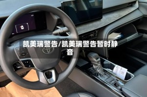 凯美瑞警告/凯美瑞警告暂时静音