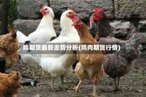 鸡期货最新走势分析(鸡肉期货行情)