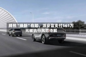 牌照“换新”在即，派安盈支付561万元被执行风险待解