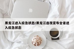 黑龙江进入应急状态/黑龙江连夜宣布全省进入应急状态