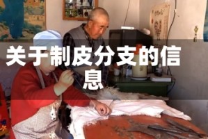 关于制皮分支的信息