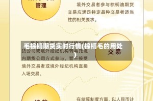 毛棕榈期货实时行情(棕榈毛的用处)
