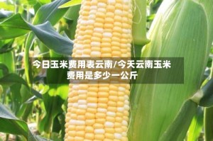 今日玉米费用表云南/今天云南玉米费用是多少一公斤