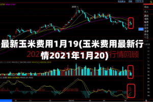 最新玉米费用1月19(玉米费用最新行情2021年1月20)