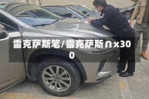 雷克萨斯笔/雷克萨斯∩x300