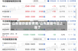 山东镍铁最新费用/山东废镍今日上涨了