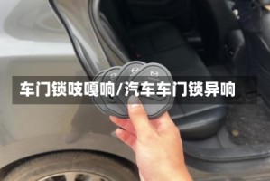 车门锁吱嘎响/汽车车门锁异响