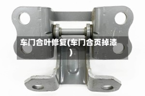 车门合叶修复(车门合页掉漆)