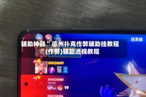 辅助神器“ 德州扑克作弊辅助挂教程”(作弊)辅助透视教程