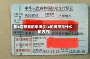 川z是哪里的车牌(川z的牌照是什么地方的)