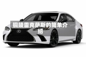 铜陵雷克萨斯的简单介绍