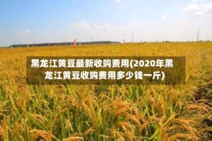 黑龙江黄豆最新收购费用(2020年黑龙江黄豆收购费用多少钱一斤)