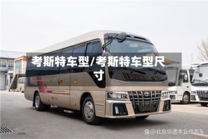 考斯特车型/考斯特车型尺寸
