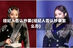 经纪人否认抄袭(经纪人否认抄袭怎么办)