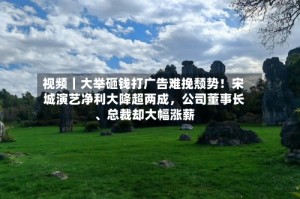 视频｜大举砸钱打广告难挽颓势！宋城演艺净利大降超两成，公司董事长、总裁却大幅涨薪