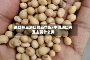 进口黄豆港口最新情况/中国进口黄豆主要什么用