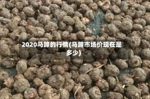 2020马蹄的行情(马蹄市场价现在是多少)