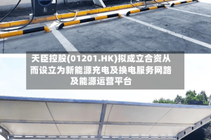 天臣控股(01201.HK)拟成立合资从而设立为新能源充电及换电服务网路及能源运营平台