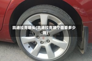 凯迪拉克喷头(凯迪拉克喷个面要多少钱)
