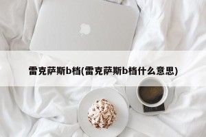 雷克萨斯b档(雷克萨斯b档什么意思)