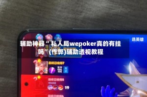 辅助神器“ 私人局wepoker真的有挂吗”(作弊)辅助透视教程