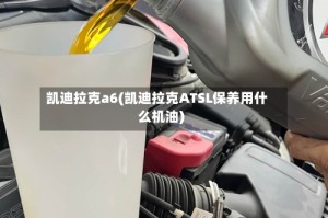 凯迪拉克a6(凯迪拉克ATSL保养用什么机油)