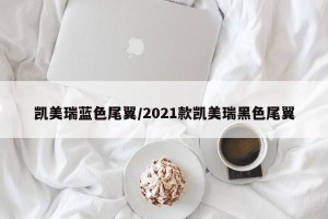 凯美瑞蓝色尾翼/2021款凯美瑞黑色尾翼
