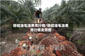 棕榈油毛油费用行情/棕榈油毛油费用行情走势图
