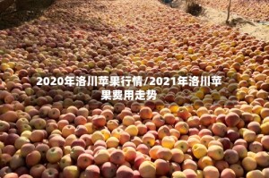 2020年洛川苹果行情/2021年洛川苹果费用走势