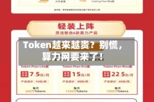 Token越来越贵？别慌，算力网要来了！