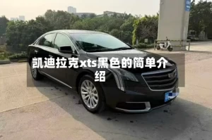 凯迪拉克xts黑色的简单介绍