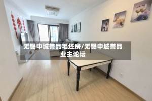 无锡中城誉品毛坯房/无锡中城誉品业主论坛