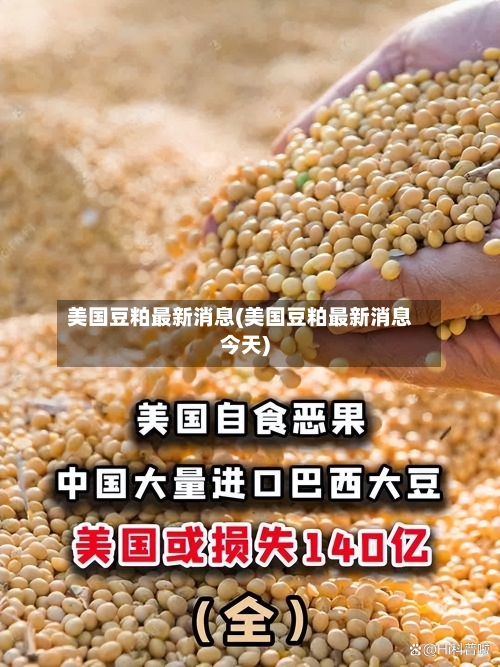 美国豆粕最新消息(美国豆粕最新消息今天)-第1张图片
