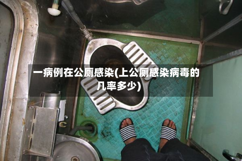一病例在公厕感染(上公厕感染病毒的几率多少)-第2张图片