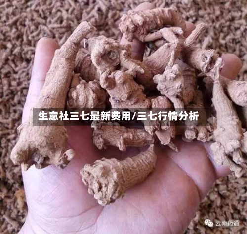 生意社三七最新费用/三七行情分析-第1张图片