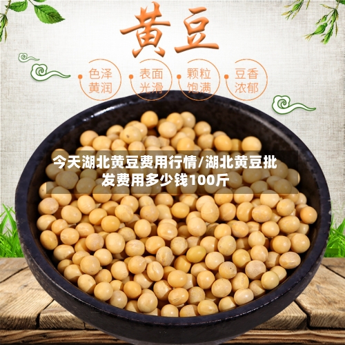 今天湖北黄豆费用行情/湖北黄豆批发费用多少钱100斤-第1张图片
