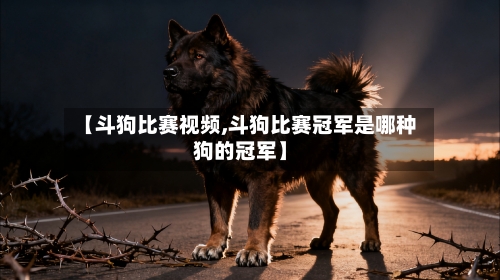 【斗狗比赛视频,斗狗比赛冠军是哪种狗的冠军】-第3张图片