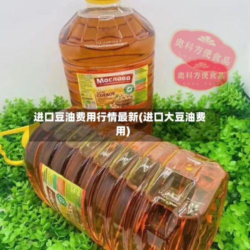 进口豆油费用行情最新(进口大豆油费用)-第1张图片